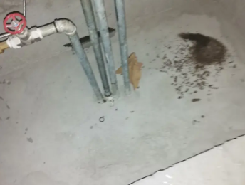 水城卫生间测漏水价格明细